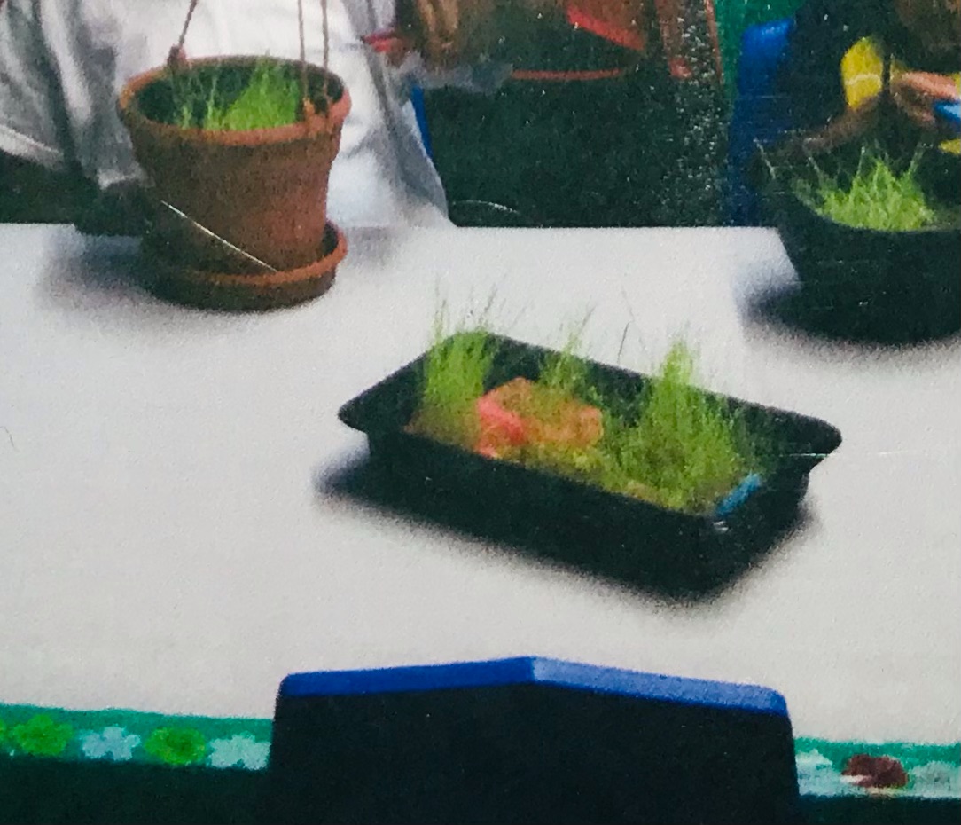 children cutting plants